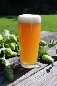 cold drink glass beer
